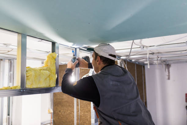 Best Blown-in Insulation  in Jacksonville, NC