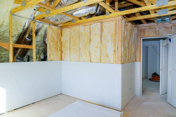 Best Insulation Replacement Services  in Jacksonville, NC