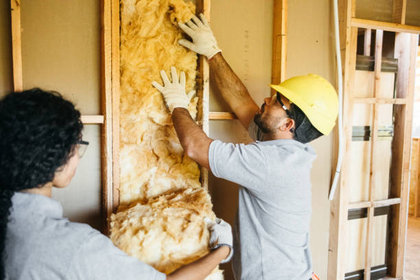 Best Attic Insulation Installation  in Jacksonville, NC
