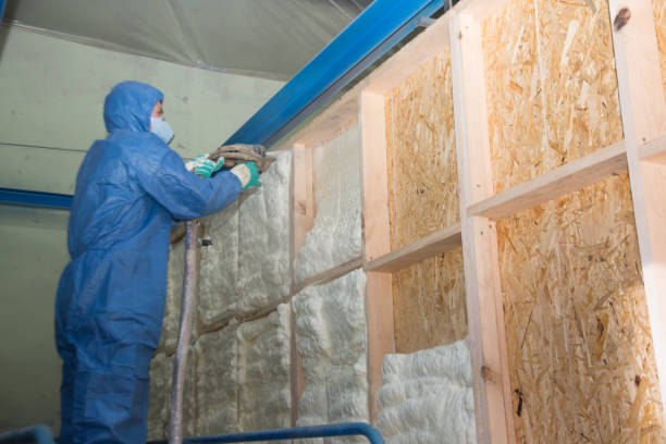 Best Insulation Contractor Near Me  in Jacksonville, NC